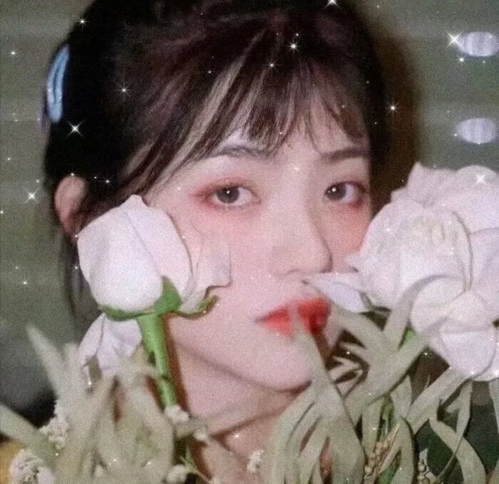 洛洛2019